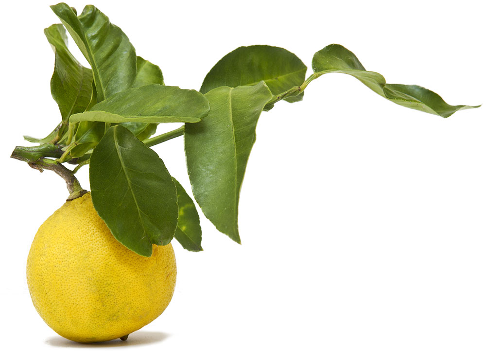 Bergamot fruit